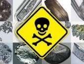 HEAVY METALS - TOXICITY AND POLLUTION STATUS (P1)